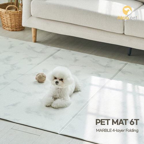 사진= 엘리샤펫 제공